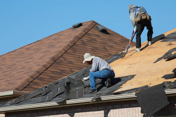 Best Metal Roofing Installation  in Jourdanton, TX