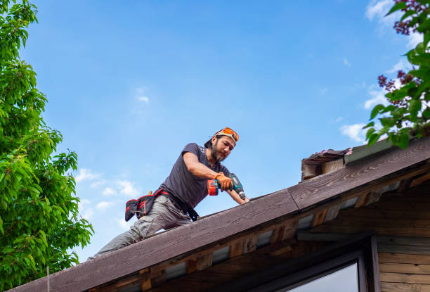 Best Solar Panel Roofing Installation  in Jourdanton, TX